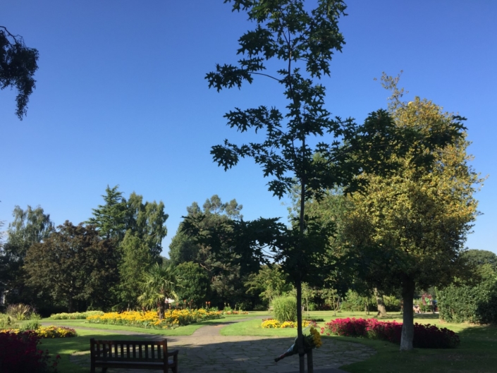 Formal Gardens